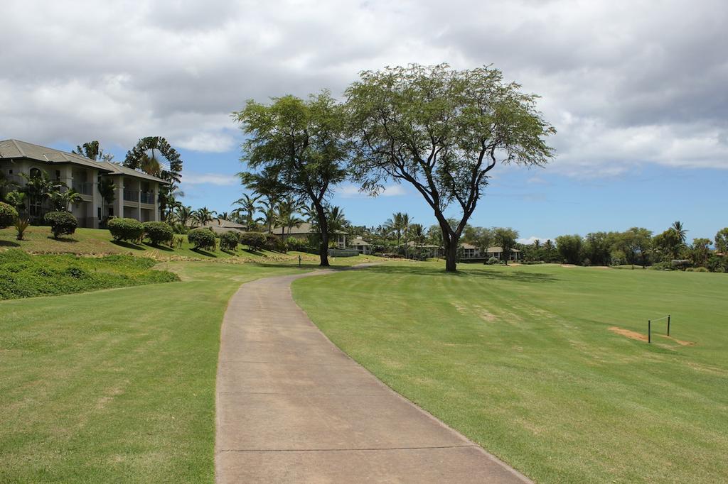 Cart paths are present for golfing