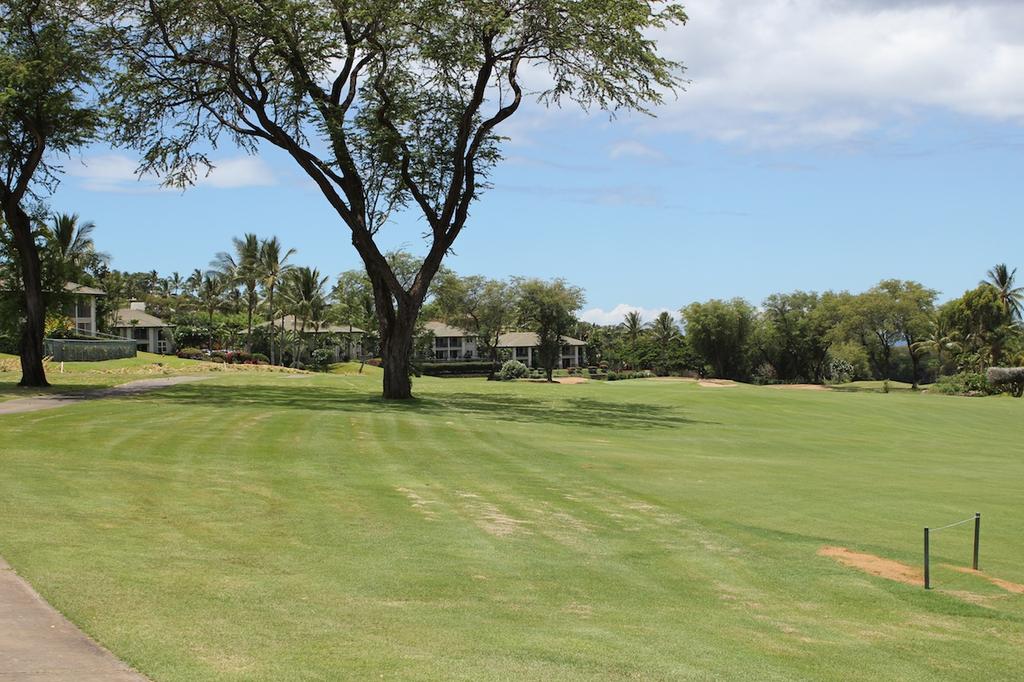 Mature landscaping sets off these greens at Wailea Fairway Villas