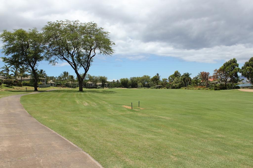 Panoramic views out your door are of the Wailea Golf Estates fairways