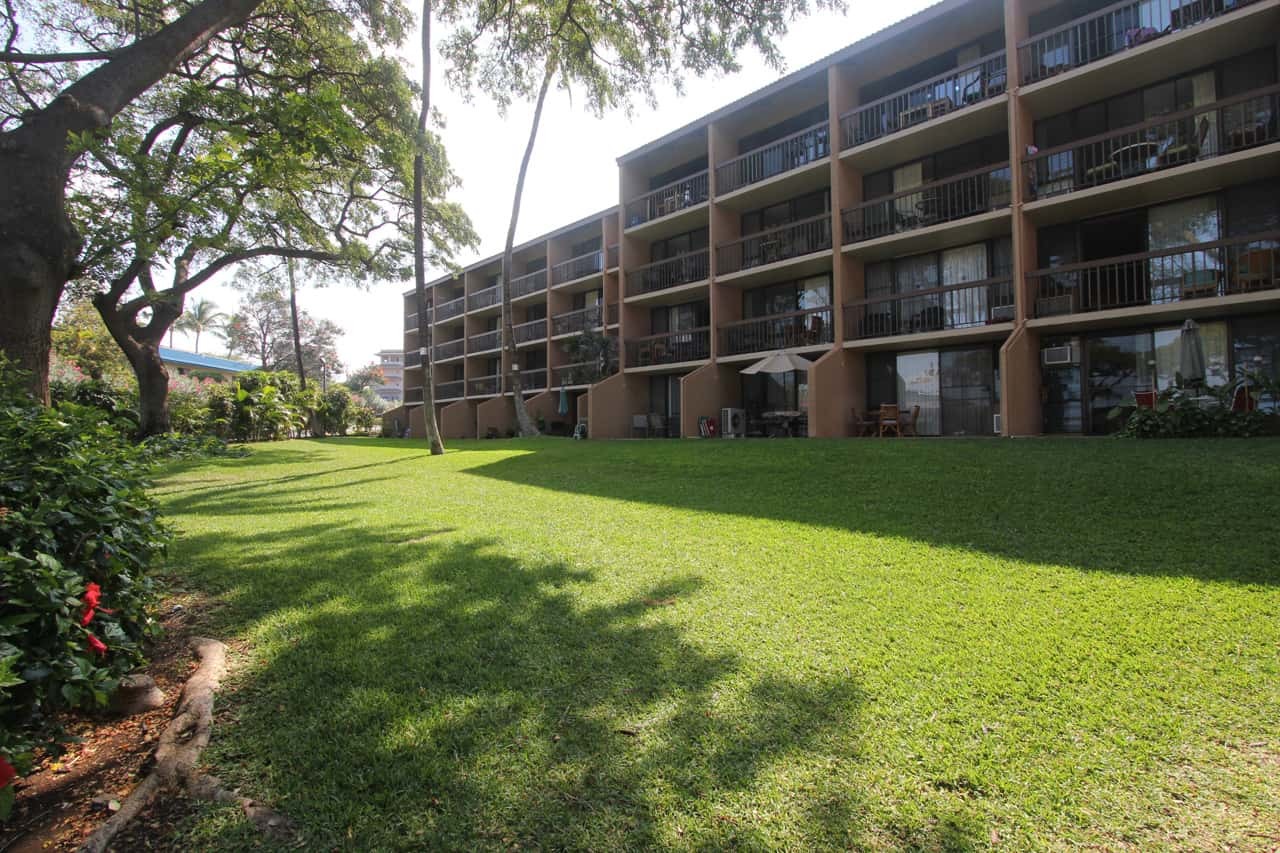 Large grassy yards provide buffer space between the three buildings