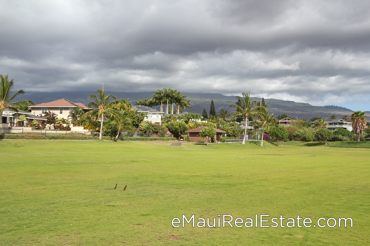 There is a large park adjacent to Moana Estates.