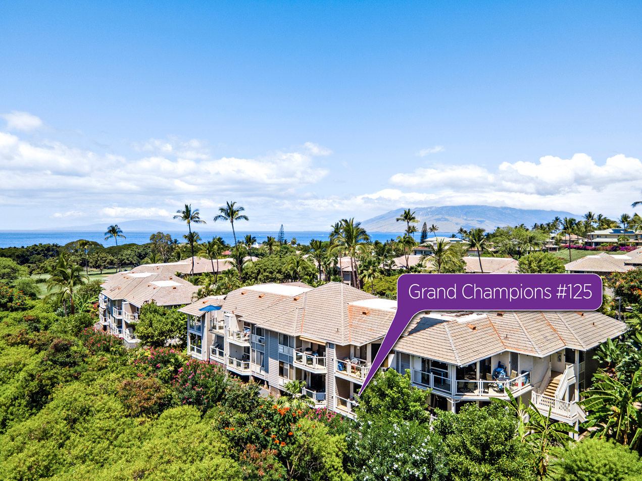 Convenient location: 