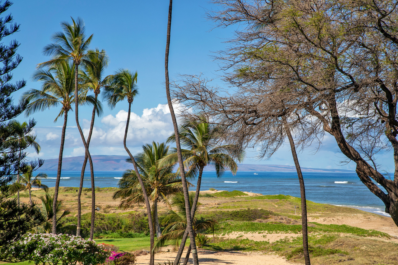 Excellent ocean views: 