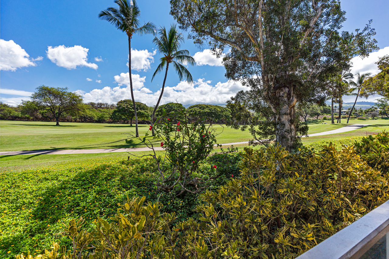 Golf Course & Mountain views: 